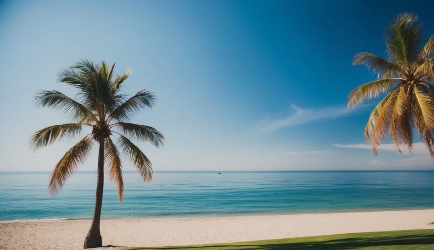 A serene beach scene with a peaceful ocean, palm trees, and a clear blue sky, representing the search for an empathetic therapist in Oceanside, CA